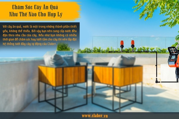 CHĂM SÓC CÂY ĂN QUẢ NHƯ THẾ NÀO CHO HIỆU QUẢ