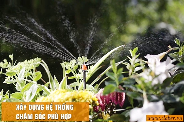 XÂY DỰNG HỆ THỐNG CHĂM SÓC PHÙ HỢP