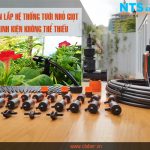 Hướng dẫn lắp hệ thống tưới nhỏ giọt: Những linh kiện không thể thiếu