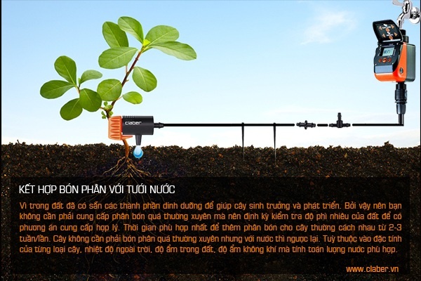 KẾT HỢP BÓN PHÂN VỚI TƯỚI NƯỚC