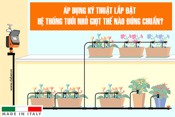 Kỹ thuật lắp đặt hệ thống tưới nhỏ giọt Kỹ thuật lắp đặt hệ thống tưới nhỏ giọt
