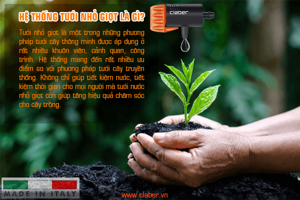 Hệ thống tưới nhỏ giọt là gì Hệ thống tưới nhỏ giọt là gì