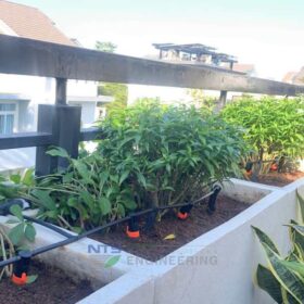 Cách khắc phục một số lỗi thường gặp trên mô hình hệ thống tưới nhỏ giọt