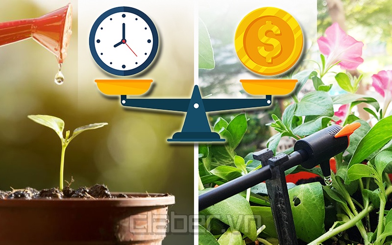 dau tu he thong tuoi nho giot