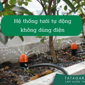 Hệ thống tưới tự động không dùng điện – cho vườn nhà an toàn