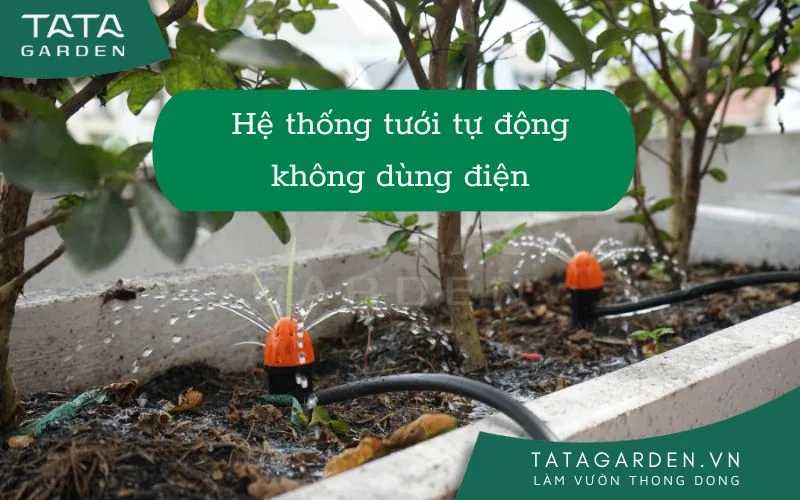 Hệ thống tưới tự động không dùng điện – cho vườn nhà an toàn