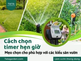 Cách chọn Timer hẹn giờ tưới cây cho hệ thống tưới phun mưa vườn nhà