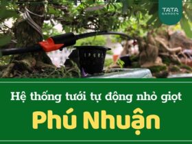 Hệ thống tưới nhỏ giọt nhà khách hàng tại Phú Nhuận