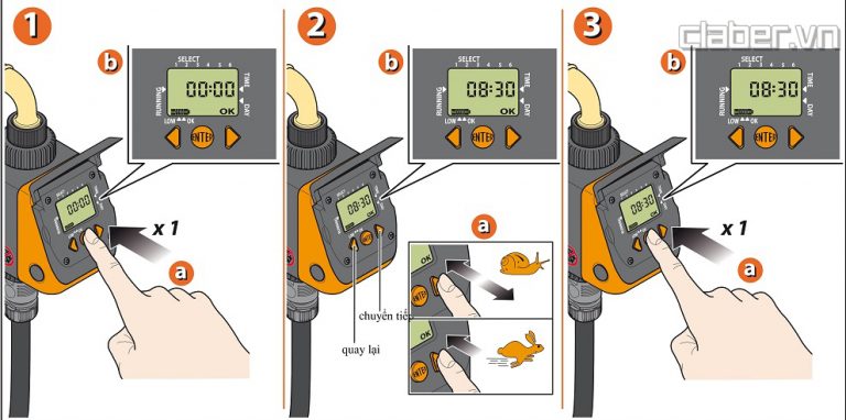 Cài đặt thời gian thực (Giờ hiện tại)