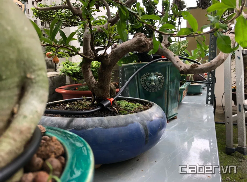 Trọn bộ bộ hệ thống tưới nhỏ giọt Timer 8422 + Dripkit20 Trọn bộ bộ hệ thống tưới nhỏ giọt Timer 8422 + Dripkit20