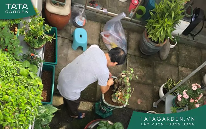 Khách hàng thử lắp đầu tưới và điều chỉnh lưu lượng nước.