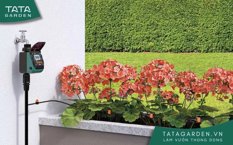 Màn hình Timer sáng rõ, dù dưới ánh nắng mặt trời vẫn dễ đọc.