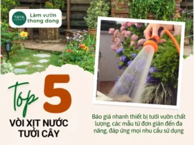 Top 5 mẫu vòi xịt nước tưới cây loại tốt. Báo giá nhanh, mới nhất 2025