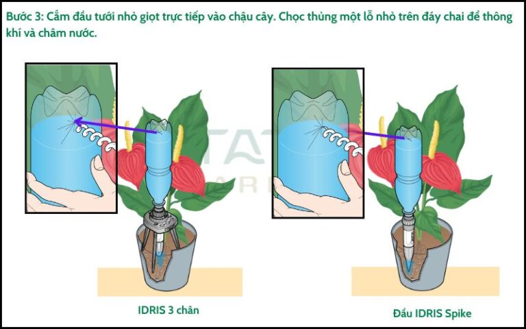 Cắm đầu tưới nhỏ giọt IDRIS vào chậu cây