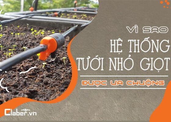 hệ thống tưới nhỏ giọt có tốt không