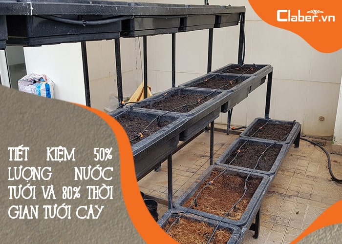 hệ thống tưới nhỏ giọt tiết kiệm nước