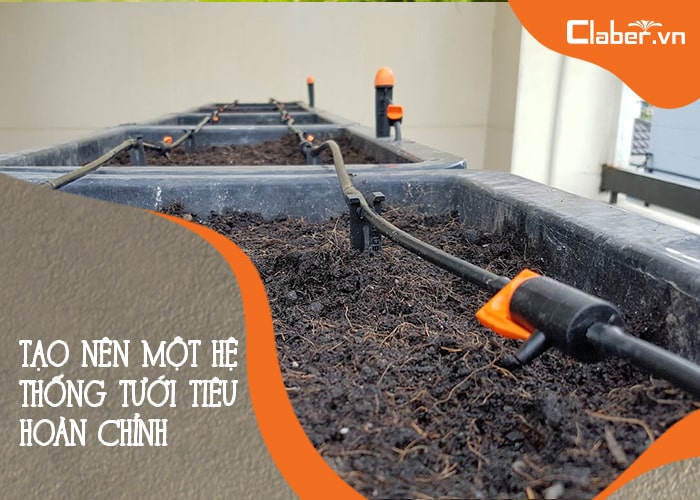 vì sao nên xài hệ thống tưới nhỏ giọt