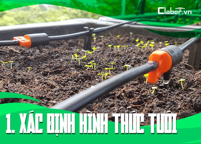 xác định hình thức tưới