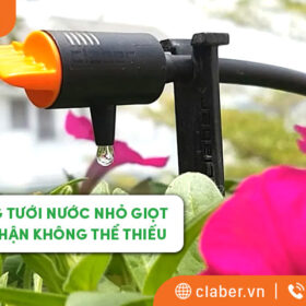 Hệ thống tưới nước nhỏ giọt và 6 bộ phận không thể thiếu