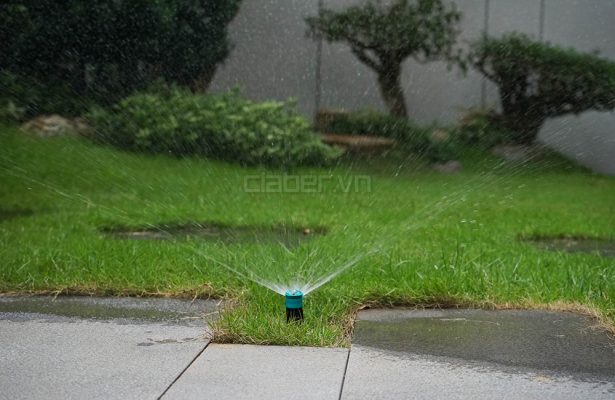 bec tuoi cay phun mua biet thu bien hoa dong nai