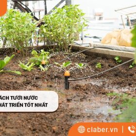 Hướng dẫn cách tưới nước cho cây trồng phát triển tốt nhất