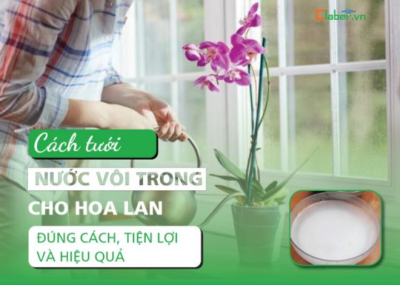 cách tưới nước vôi trong cho hoa lan