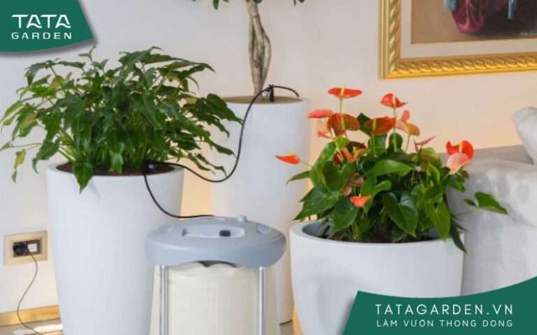 Aqualux - giải pháp tưới cây tự động cho ban công - sân thượng không có vòi nước.