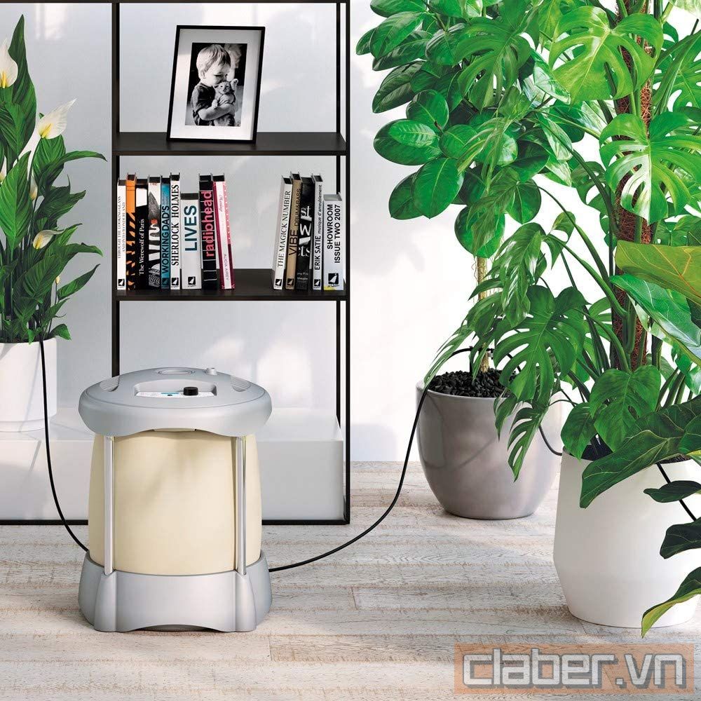 Tưới cây cảnh trong nhà