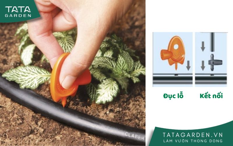 Sử dụng đục lỗ của Claber