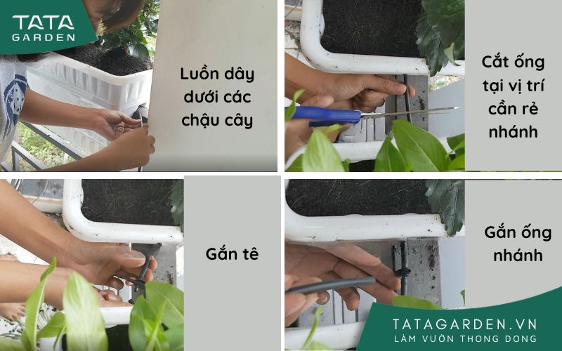 Bố trí ống nước