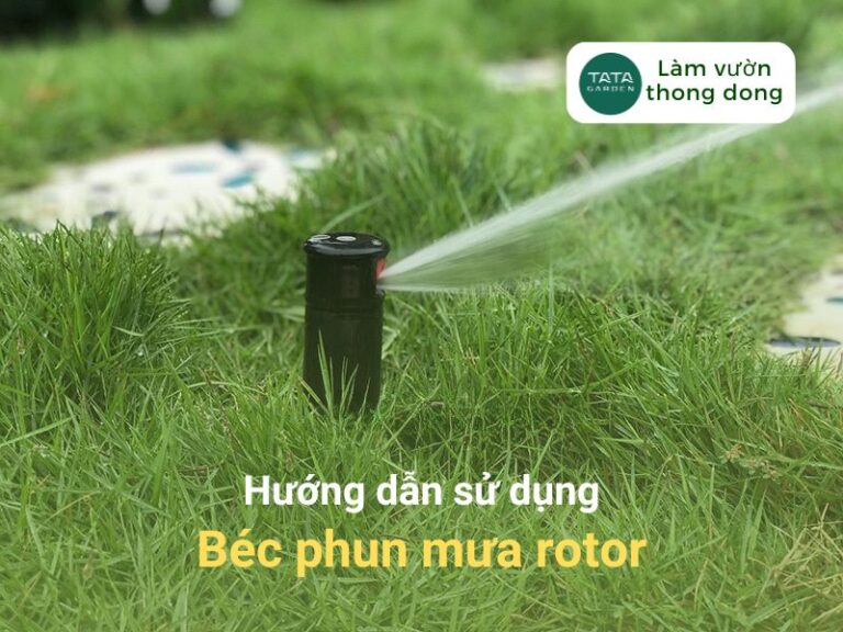 [HƯỚNG DẪN SỬ DỤNG] – BÉC TƯỚI PHUN MƯA ROTOR