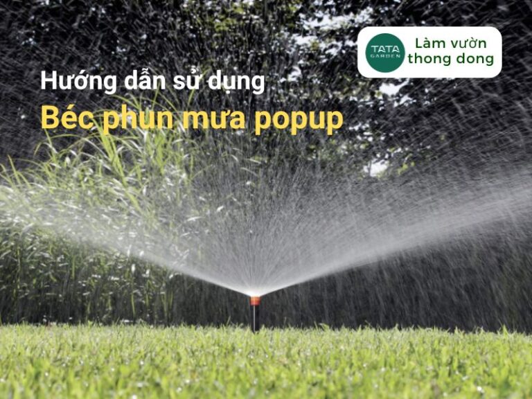 [HƯỚNG DẪN SỬ DỤNG] – BÉC TƯỚI PHUN MƯA POP-UP