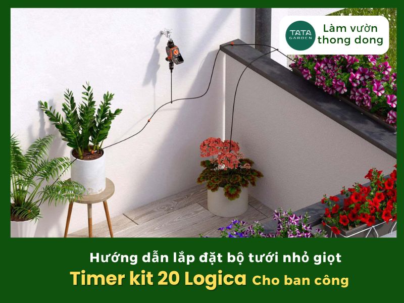 hdld-he-thong-tuoi-nho-giot-ban-cong