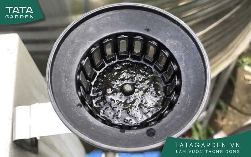 Hiện tượng đóng rêu ở cảm biến mưa Claber