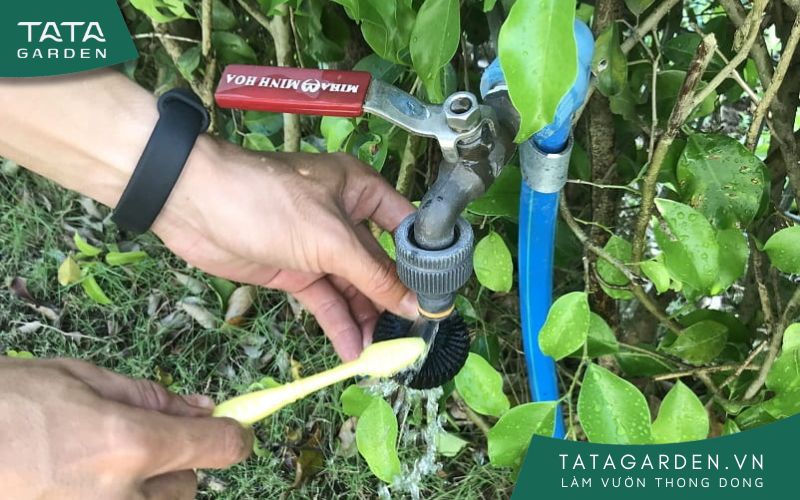 Vệ sinh phao trong cảm biến mưa Claber