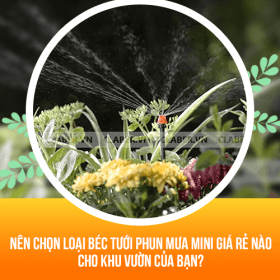 Nên chọn loại béc tưới phun mưa mini giá rẻ nào cho khu vườn của bạn?