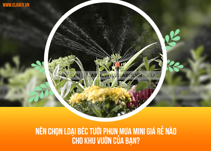 Nên chọn loại béc tưới phun mưa mini giá rẻ nào cho khu vườn của bạn