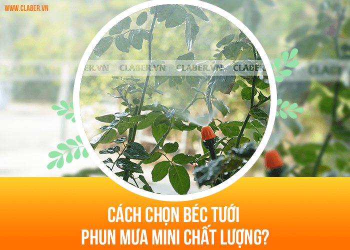 Cách chọn béc tưới phun mưa mini chất lượng?