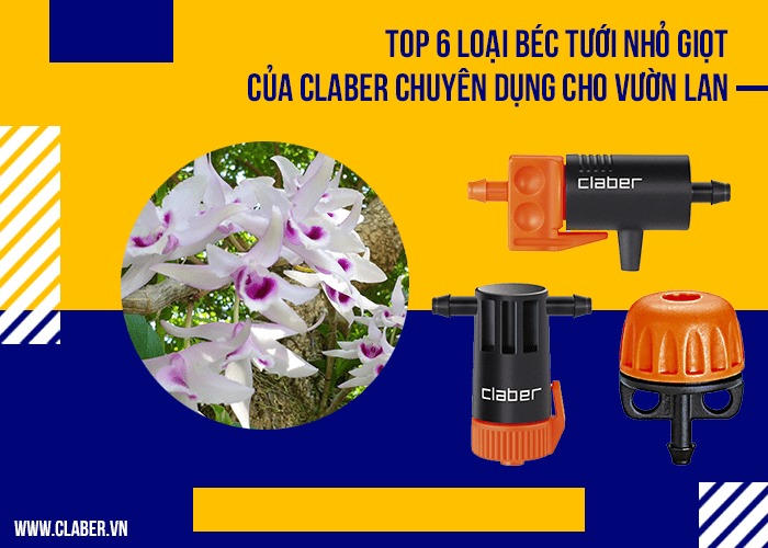 Top 6 loại béc tưới nhỏ giọt của Claber chuyên dụng cho vườn lan