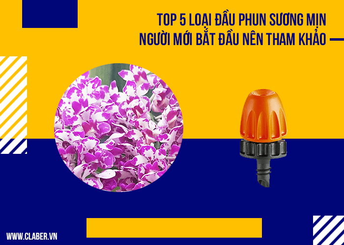 Top 5 loại đầu phun sương mịn, người mới chơi lan nên tham khảo