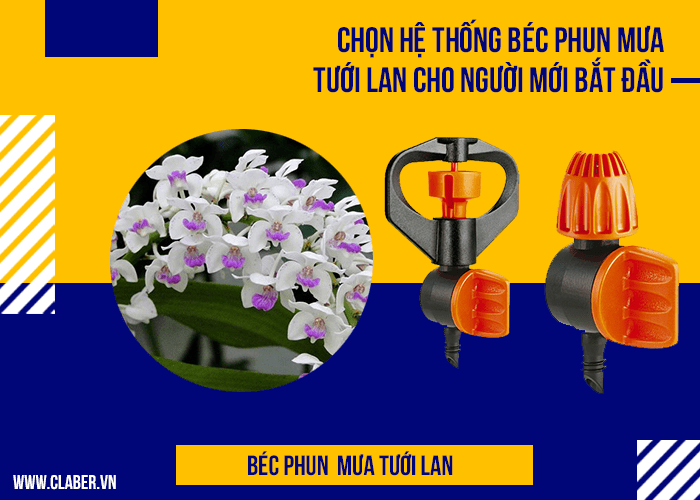 Chọn hệ thống béc phun mưa tưới lan cho người mới bắt đầu