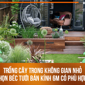 Trồng cây ở không gian nhỏ chọn béc phun mưa bán kính 6m có phù hợp?
