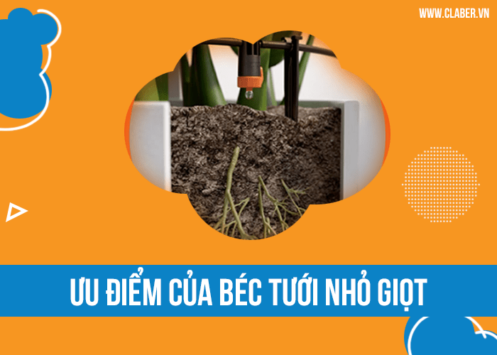Ưu điểm của béc tưới nhỏ giọt