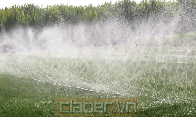 day tuoi phun mua micro