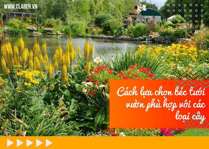 Cách lựa chọn béc tưới vườn phù hợp với các loại cây 