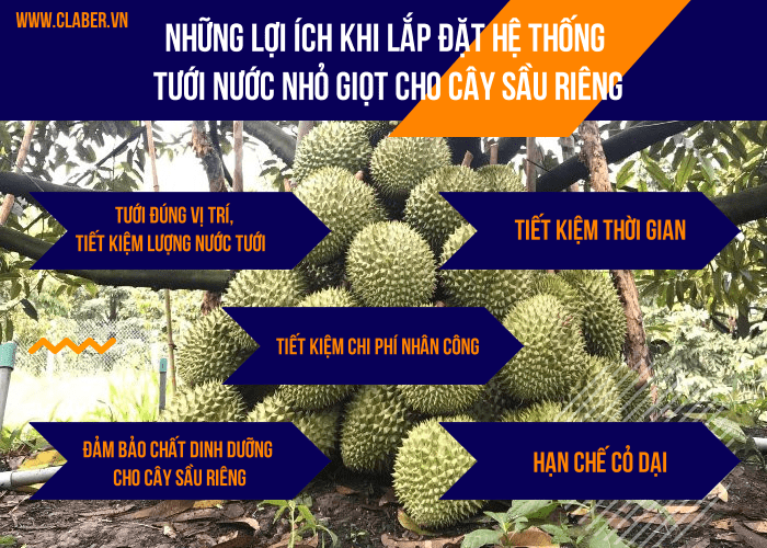 những lợi ích khi lắp hệ thống tưới cây nhỏ giọt