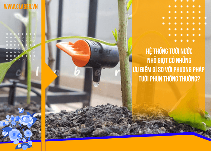 Hệ thống tưới nước nhỏ giọt có những ưu điểm gì so với phương pháp tưới phun thông thường?