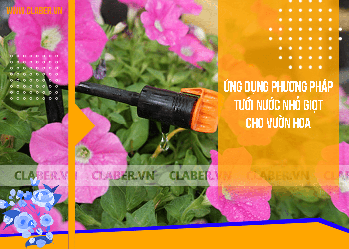 ứng dụng của hệ thống tưới nhỏ giọt