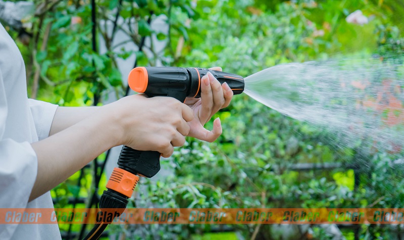 voi tuoi cay dang sung