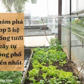 Khám phá top 3 hệ thống tưới cây tự động phổ biến nhất năm 2022